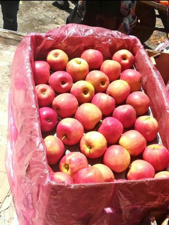 Apples