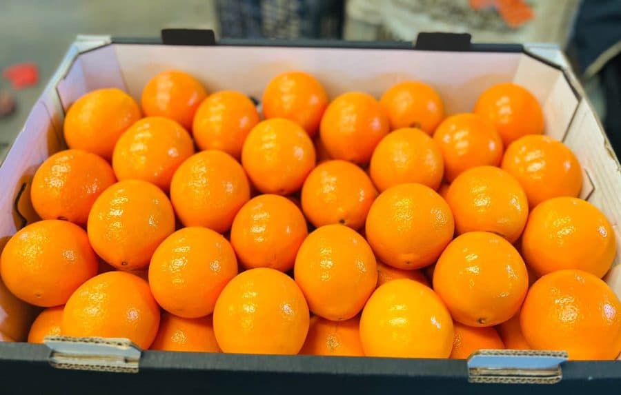 Oranges