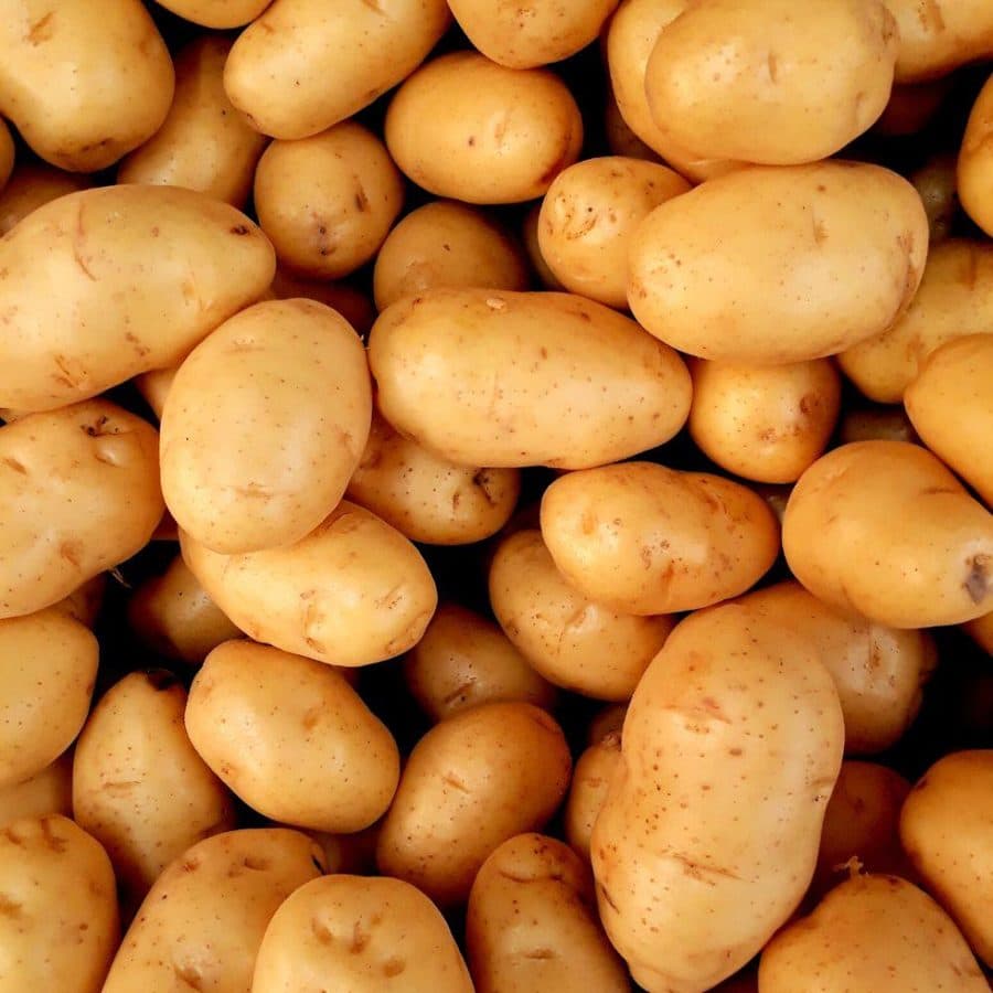 بطاطس